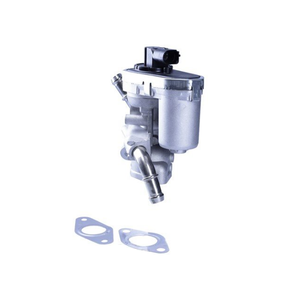 NTK EGR-klep voor o.a. Bmw - 97075, 4010326970754 | Werkwijze