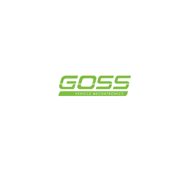 Goss EGR Valve - EV177 [Suit Chrysler 300c, Jeep, Mercedes Benz 3.0l V6]