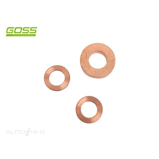 Goss Diesel Washer Kit - DWK510 [Suit Ford Transit]